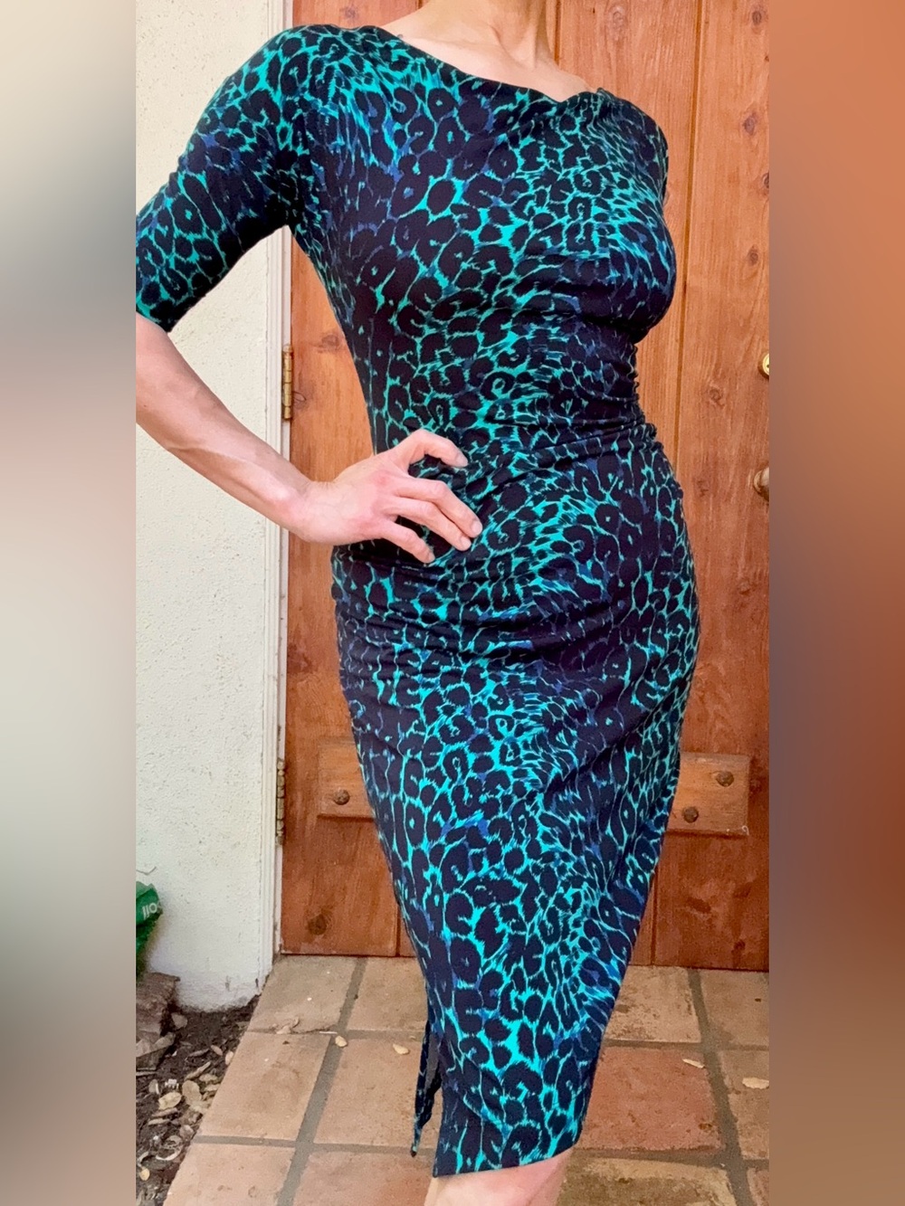 BCBG Max AzriaWomen’s Teal and Black Leopard Print Sheath Dress, Size Small